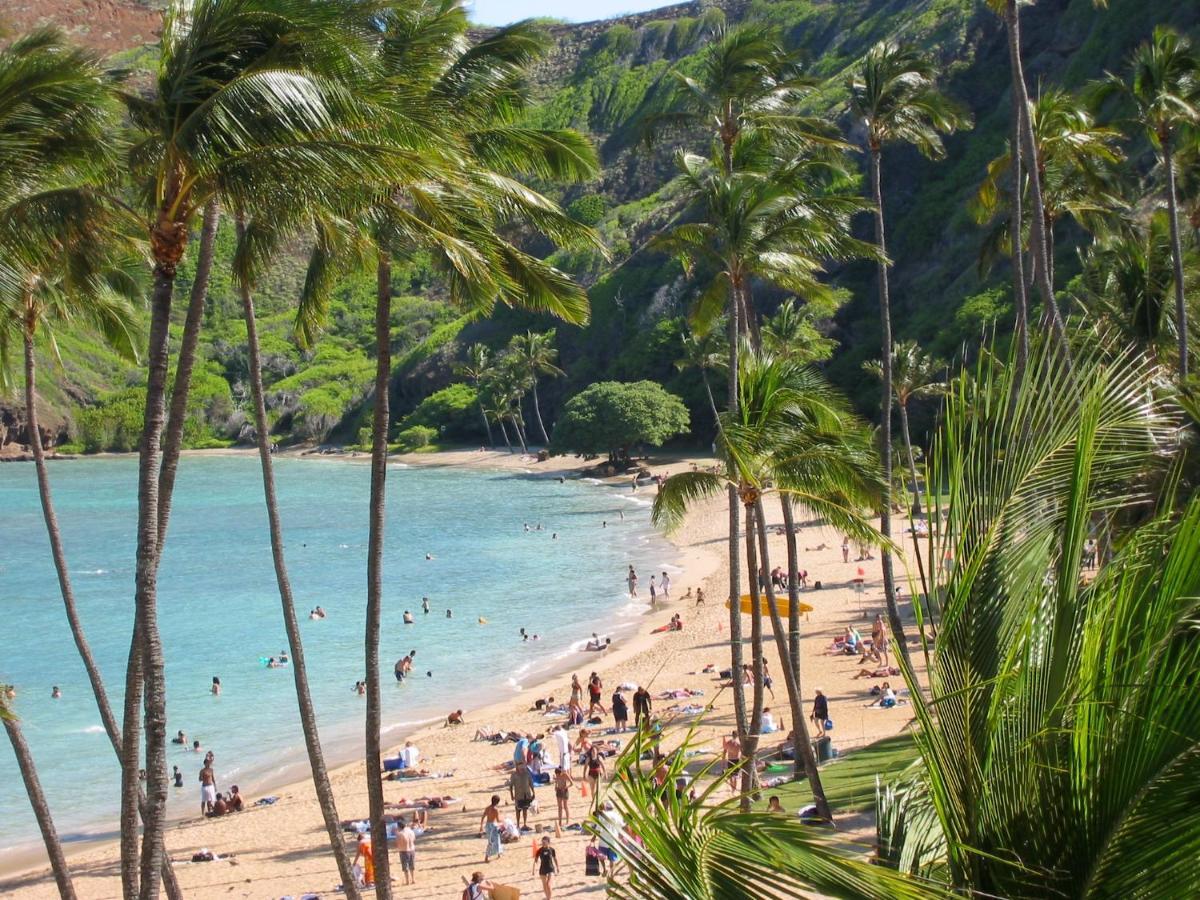 Free Parking, Pool, Sauna, Spa, Wifi, Bbq, Ac - Waikiki Banyan Honolulu Zewnętrze zdjęcie