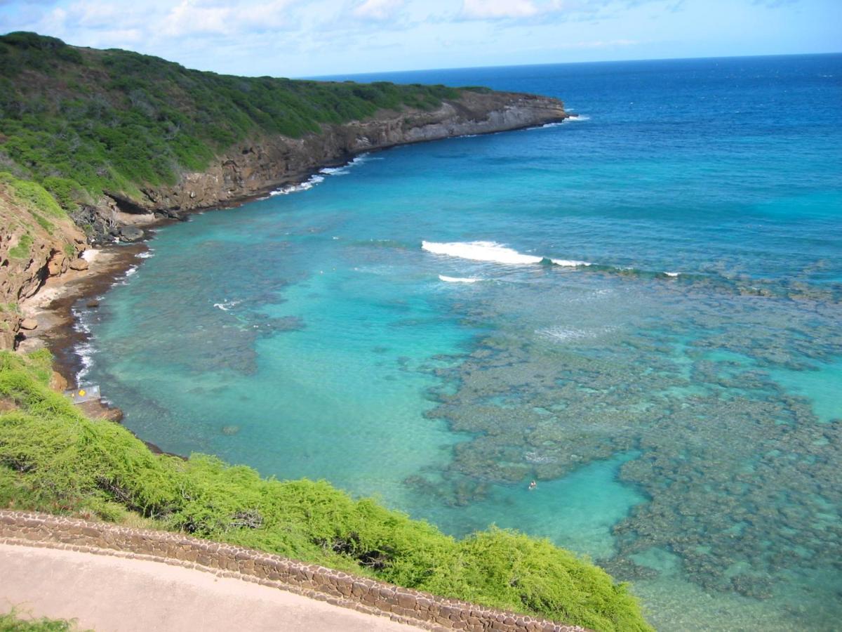 Free Parking, Pool, Sauna, Spa, Wifi, Bbq, Ac - Waikiki Banyan Honolulu Zewnętrze zdjęcie